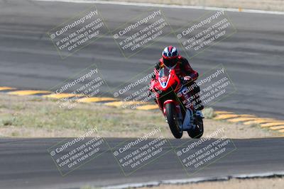 media/Apr-14-2024-SoCal Trackdays (Sun) [[70f97d3d4f]]/5-Bowl Exit (1020am)/